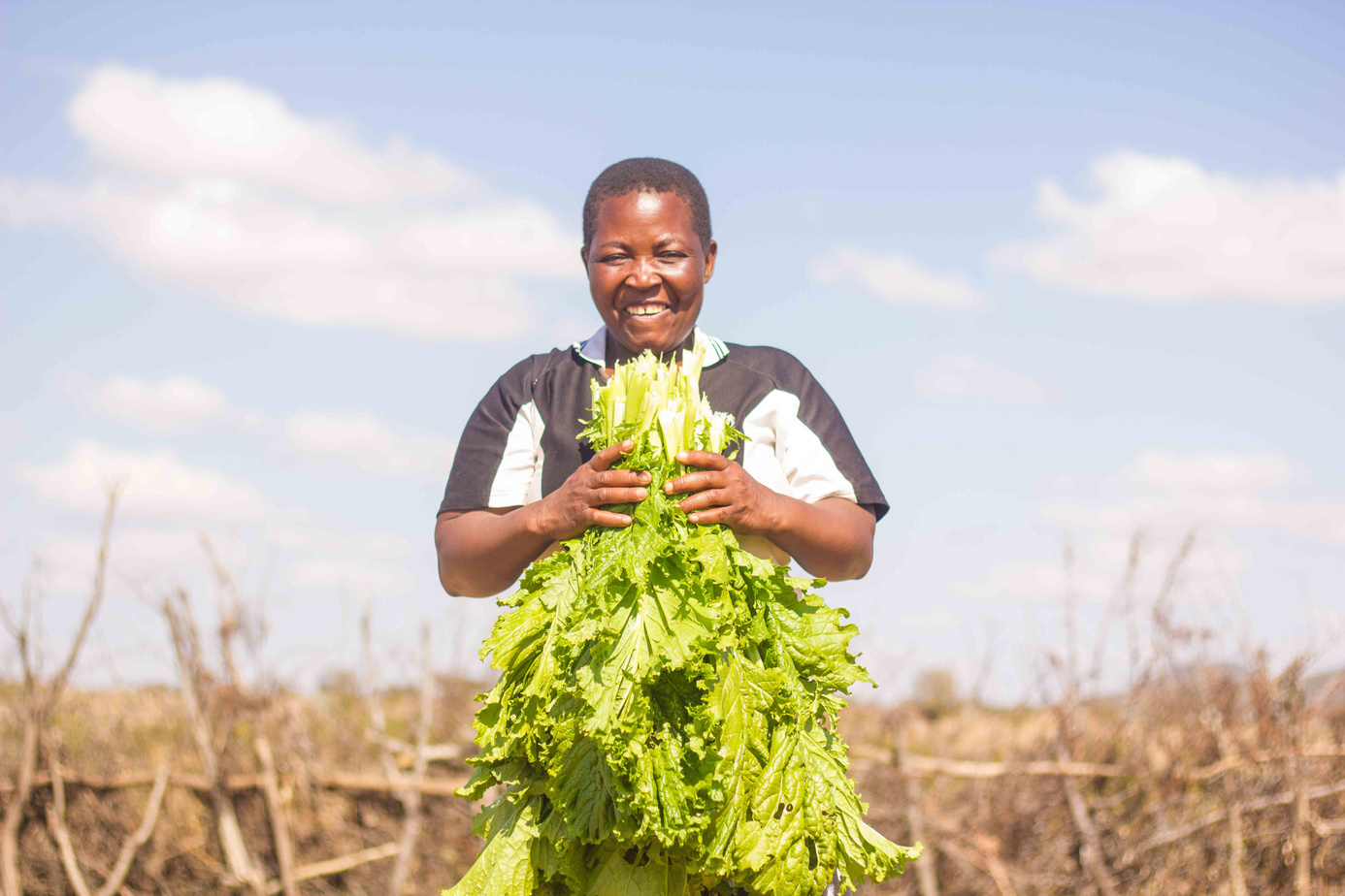 A grower holding freshly harvested leafy vegetables in a field